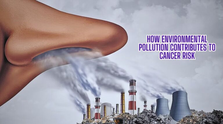 How Environmental Pollution Contributes to Cancer Risk