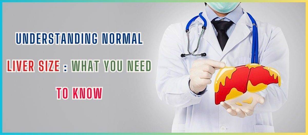 Understanding Normal Liver Size: What You Need to Know