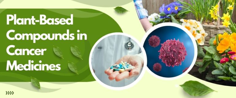 Plant-Based Compounds in Cancer Medicines