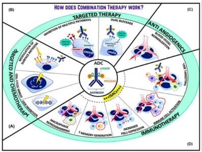 How does Combination Therapy work?