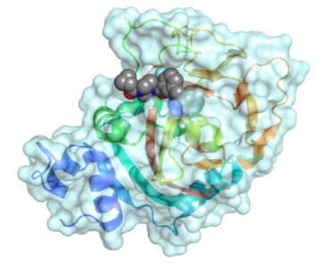 PARP Inhibitors