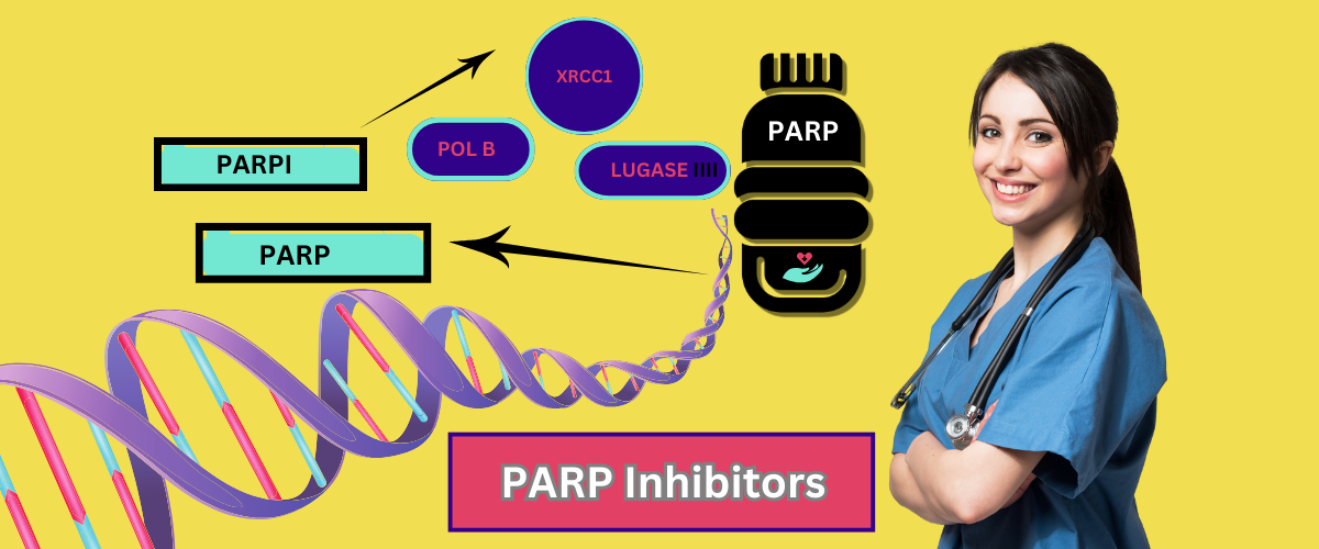 PARP Inhibitors